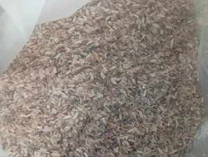 Dog Rice (Brown Dog Rice )